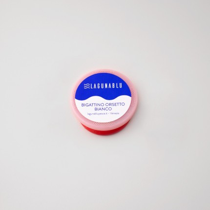 Bigattino orsetto bianco