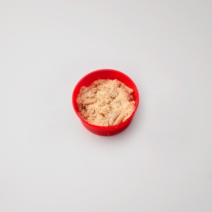 Bigattino orsetto bianco 2